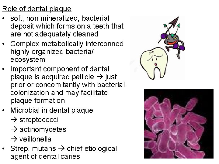 Role of dental plaque • soft, non mineralized, bacterial deposit which forms on a