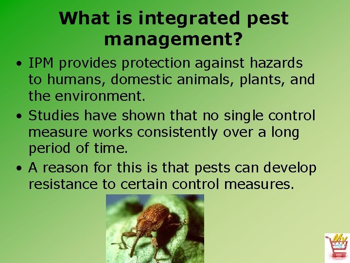 What is integrated pest management? • IPM provides protection against hazards to humans, domestic
