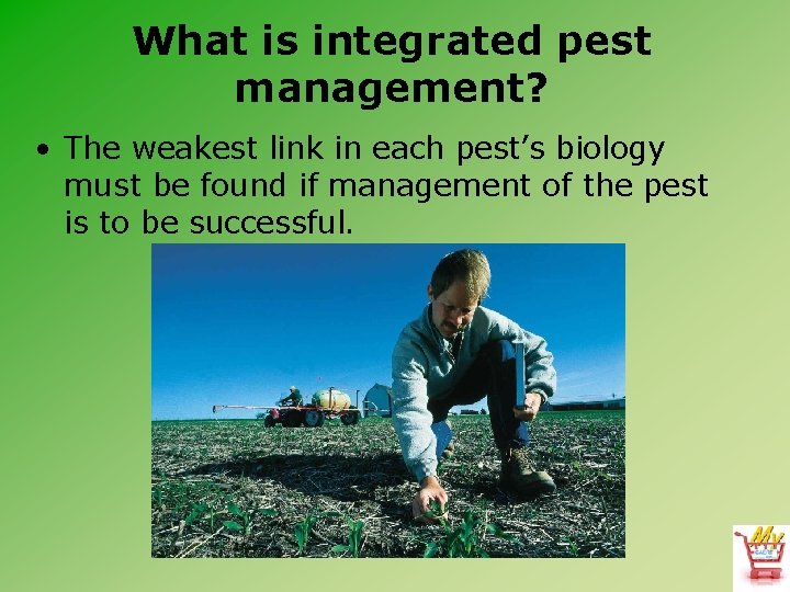 What is integrated pest management? • The weakest link in each pest’s biology must