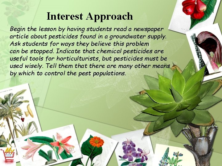 Interest Approach Begin the lesson by having students read a newspaper article about pesticides