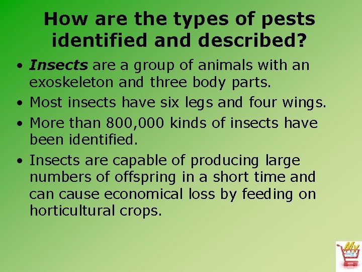 How are the types of pests identified and described? • Insects are a group