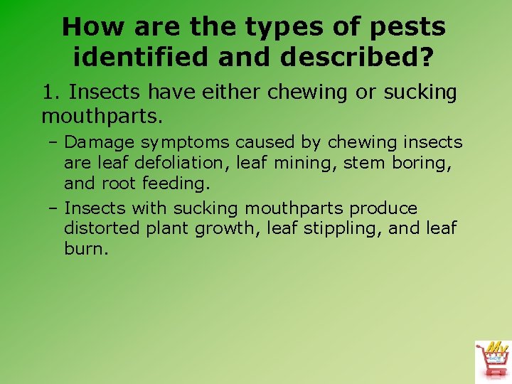 How are the types of pests identified and described? 1. Insects have either chewing