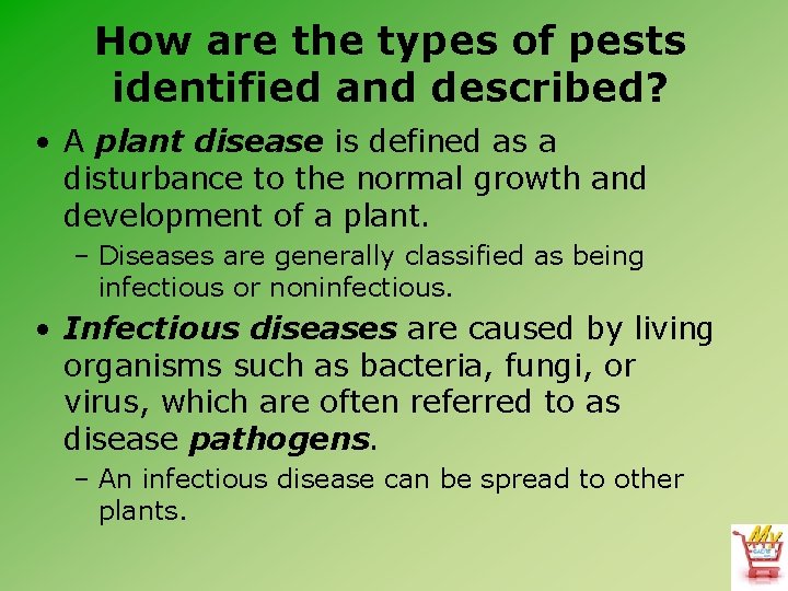 How are the types of pests identified and described? • A plant disease is