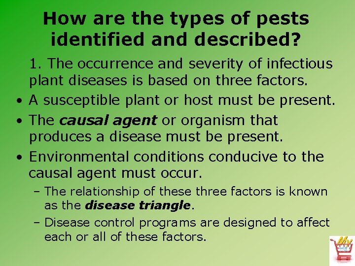 How are the types of pests identified and described? 1. The occurrence and severity