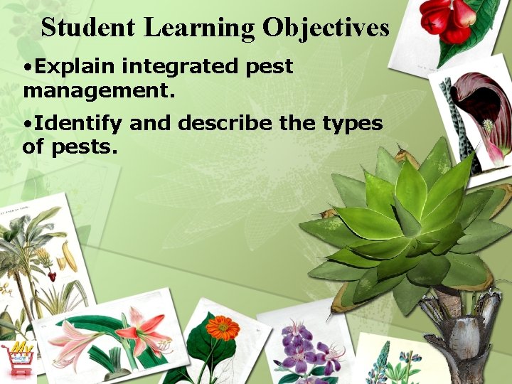 Student Learning Objectives • Explain integrated pest management. • Identify and describe the types