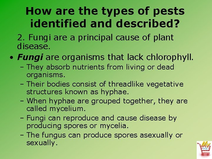 How are the types of pests identified and described? 2. Fungi are a principal