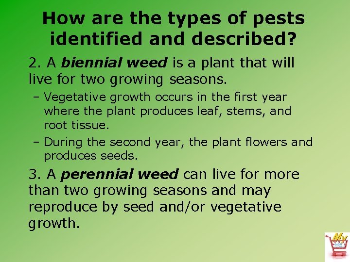 How are the types of pests identified and described? 2. A biennial weed is
