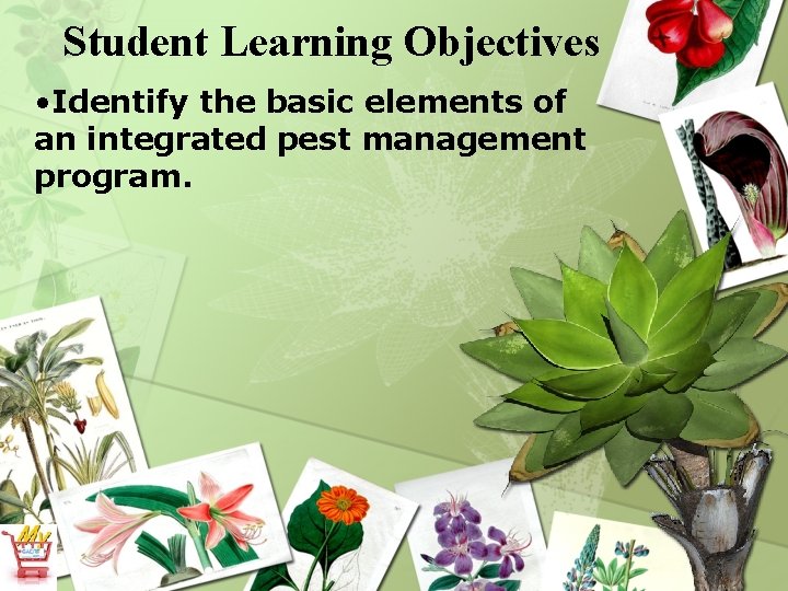 Student Learning Objectives • Identify the basic elements of an integrated pest management program.