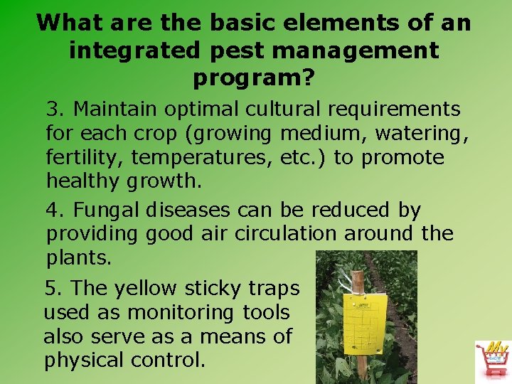 What are the basic elements of an integrated pest management program? 3. Maintain optimal
