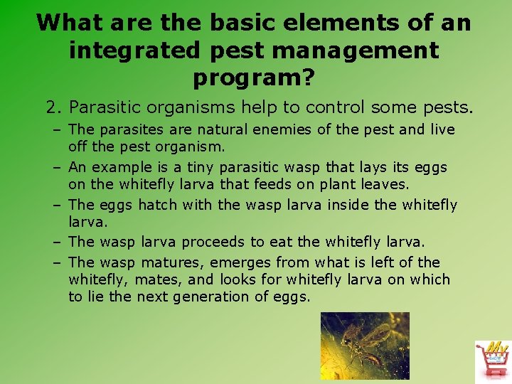 What are the basic elements of an integrated pest management program? 2. Parasitic organisms