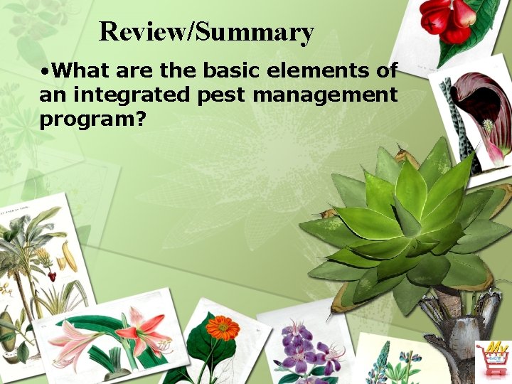 Review/Summary • What are the basic elements of an integrated pest management program? 