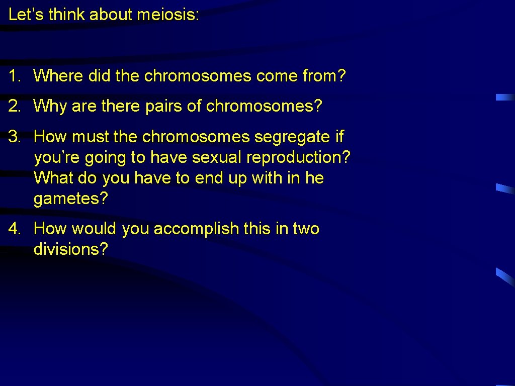 Let’s think about meiosis: 1. Where did the chromosomes come from? 2. Why are