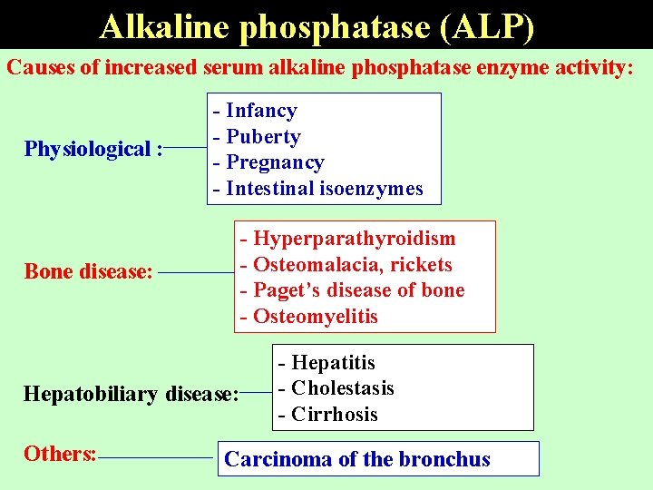 Alkaline phosphatase (ALP) Causes of increased serum alkaline phosphatase enzyme activity: Physiological : Bone