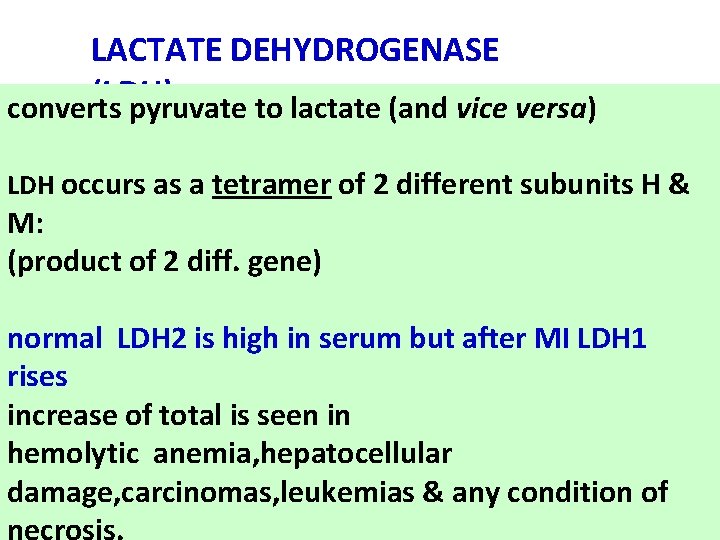 LACTATE DEHYDROGENASE (LDH) converts pyruvate to lactate (and vice versa) LDH occurs as a