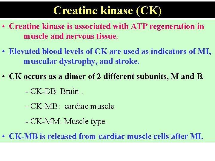 Creatine kinase (CK) • Creatine kinase is associated with ATP regeneration in muscle and