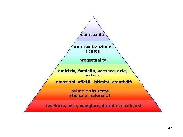 47 47