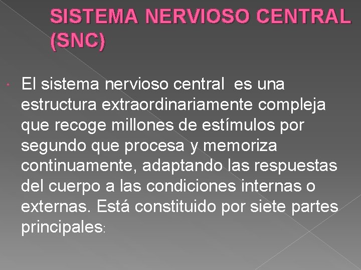 SISTEMA NERVIOSO CENTRAL (SNC) El sistema nervioso central es una estructura extraordinariamente compleja que