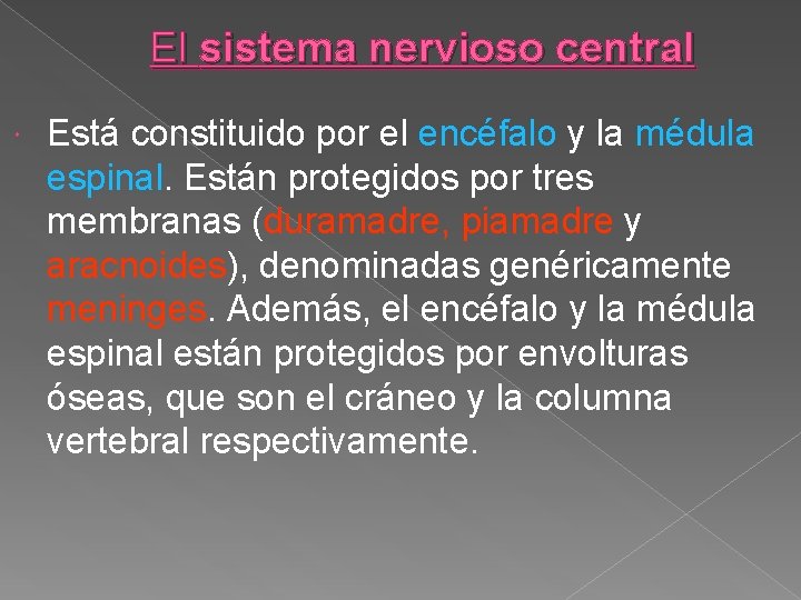 El sistema nervioso central Está constituido por el encéfalo y la médula espinal. Están