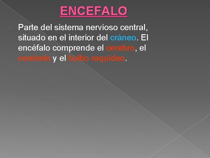 ENCEFALO Parte del sistema nervioso central, situado en el interior del cráneo. El encéfalo