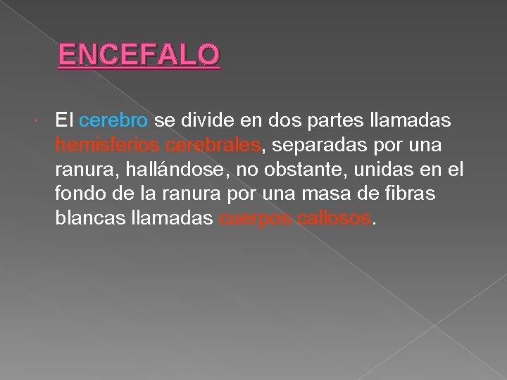 ENCEFALO El cerebro se divide en dos partes llamadas hemisferios cerebrales, separadas por una