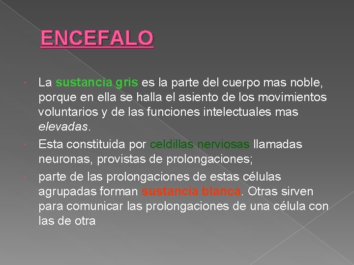 ENCEFALO La sustancia gris es la parte del cuerpo mas noble, porque en ella