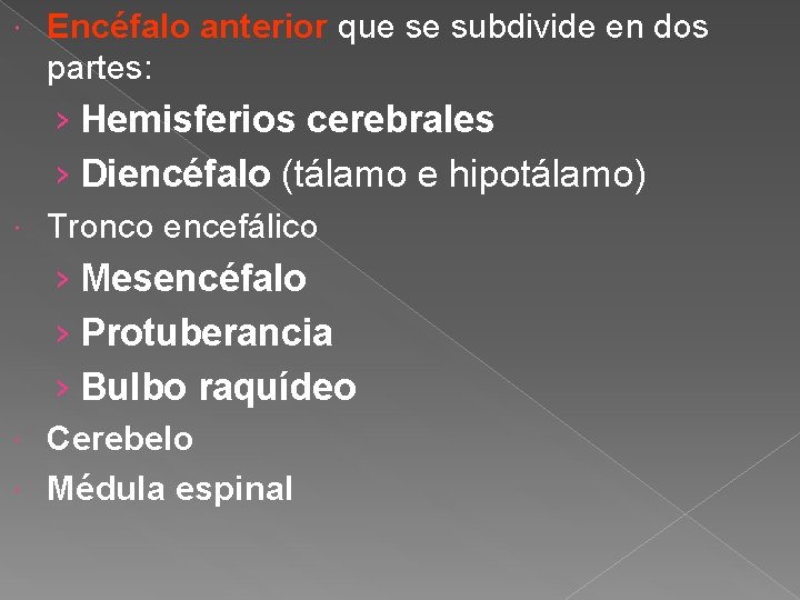  Encéfalo anterior que se subdivide en dos partes: › Hemisferios cerebrales › Diencéfalo