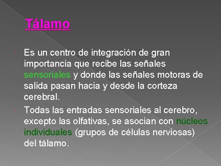 Tálamo Es un centro de integración de gran importancia que recibe las señales sensoriales