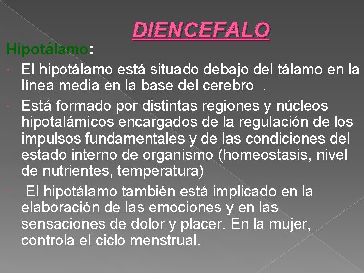 DIENCEFALO Hipotálamo: El hipotálamo está situado debajo del tálamo en la línea media en