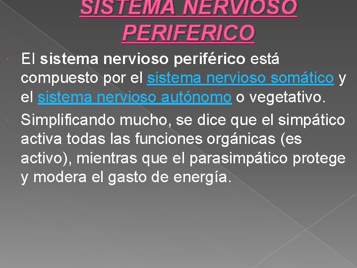 SISTEMA NERVIOSO PERIFERICO El sistema nervioso periférico está compuesto por el sistema nervioso somático