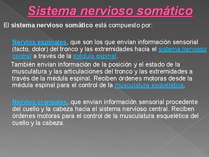 Sistema nervioso somático El sistema nervioso somático está compuesto por: Nervios espinales, que son