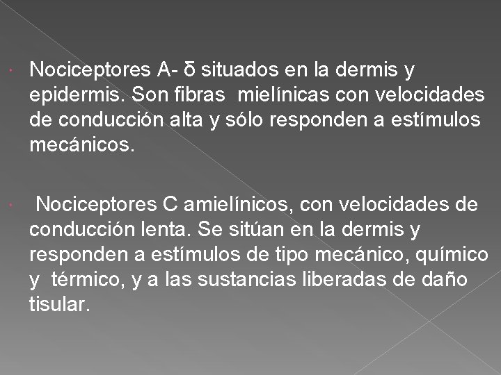  Nociceptores A δ situados en la dermis y epidermis. Son fibras mielínicas con