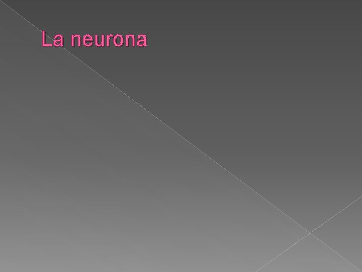 La neurona 