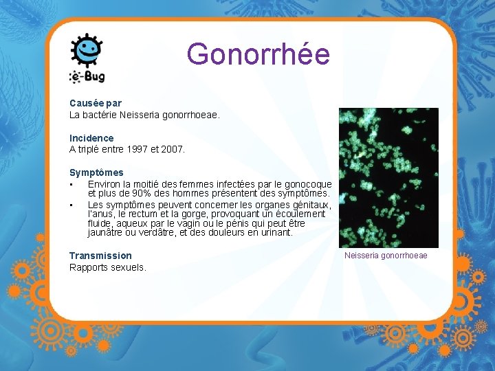 Gonorrhée Causée par La bactérie Neisseria gonorrhoeae. Incidence A triplé entre 1997 et 2007.