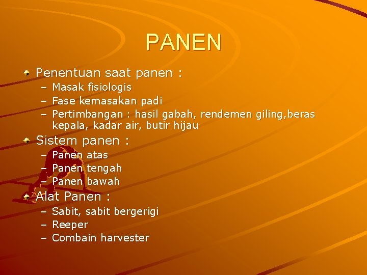 PANEN Penentuan saat panen : – Masak fisiologis – Fase kemasakan padi – Pertimbangan