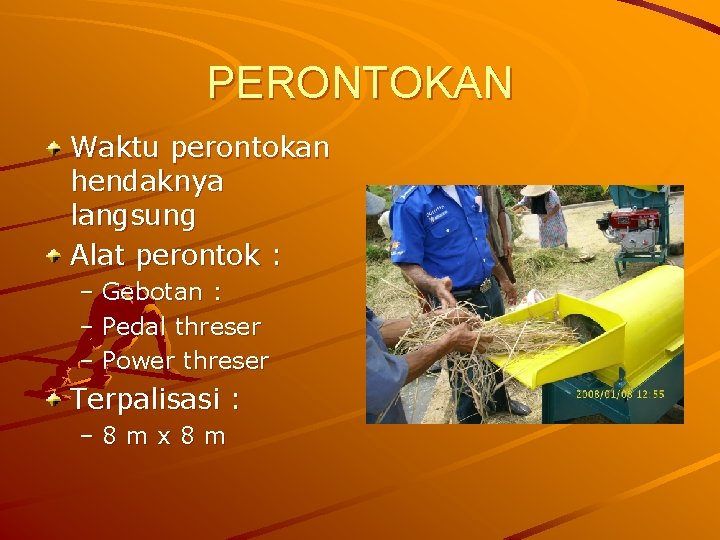 PERONTOKAN Waktu perontokan hendaknya langsung Alat perontok : – Gebotan : – Pedal threser