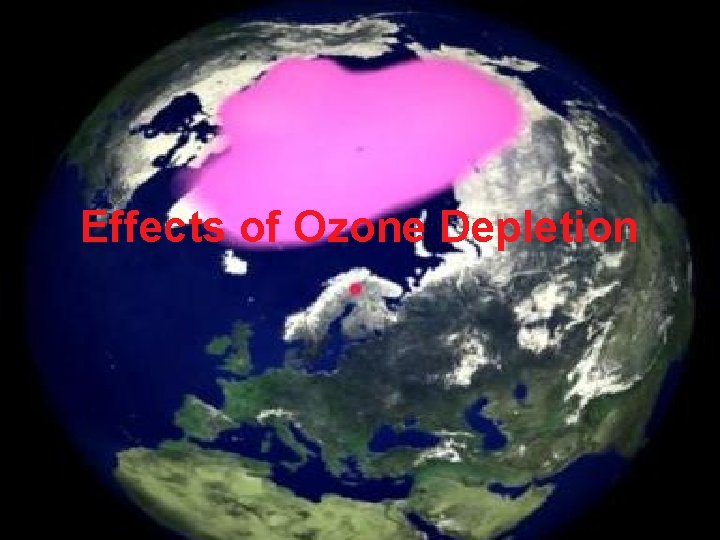 Effects of Ozone Depletion 