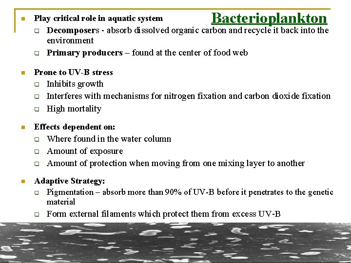 n Play critical role in aquatic system q q n q q Inhibits growth