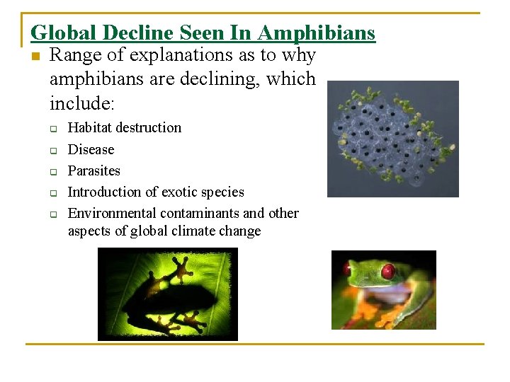 Global Decline Seen In Amphibians n Range of explanations as to why amphibians are