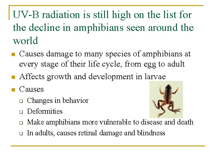 UV-B radiation is still high on the list for the decline in amphibians seen