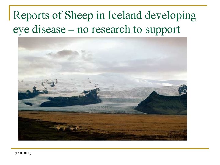 Reports of Sheep in Iceland developing eye disease – no research to support (Last,