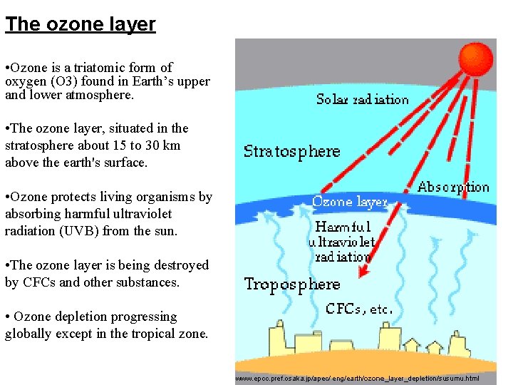 The ozone layer • Ozone is a triatomic form of oxygen (O 3) found