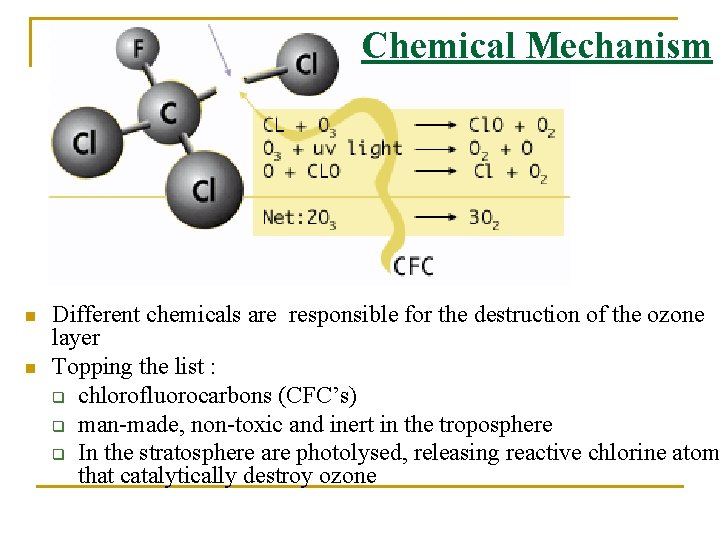 Chemical Mechanism n n Different chemicals are responsible for the destruction of the ozone