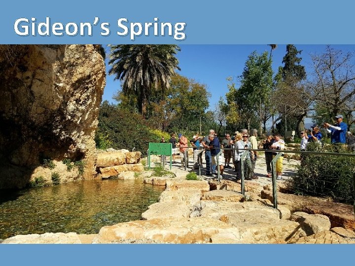 Gideon’s Spring 