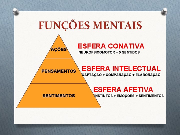 FUNÇÕES MENTAIS AÇÕES PENSAMENTOS SENTIMENTOS ESFERA CONATIVA NEUROPSICOMOTOR + 5 SENTIDOS ESFERA INTELECTUAL CAPTAÇÃO FUNÇÕES MENTAIS AÇÕES PENSAMENTOS SENTIMENTOS ESFERA CONATIVA NEUROPSICOMOTOR + 5 SENTIDOS ESFERA INTELECTUAL CAPTAÇÃO