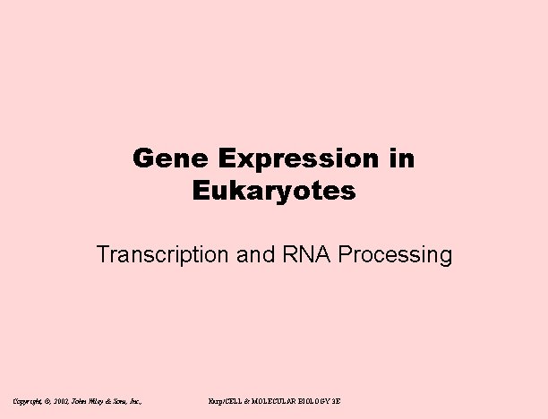 Gene Expression in Eukaryotes Transcription and RNA Processing Copyright, ©, 2002, John Wiley &