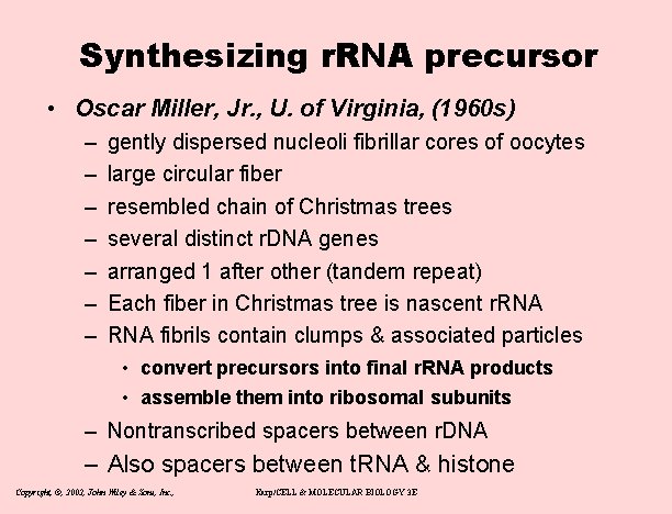 Synthesizing r. RNA precursor • Oscar Miller, Jr. , U. of Virginia, (1960 s)