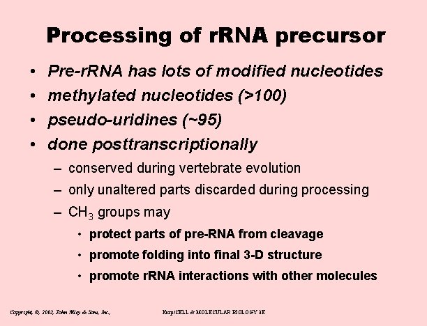Processing of r. RNA precursor • • Pre-r. RNA has lots of modified nucleotides
