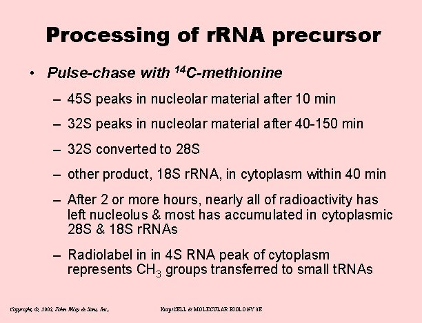 Processing of r. RNA precursor • Pulse-chase with 14 C-methionine – 45 S peaks