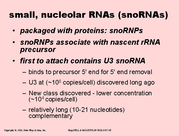 small, nucleolar RNAs (sno. RNAs) • packaged with proteins: sno. RNPs • sno. RNPs