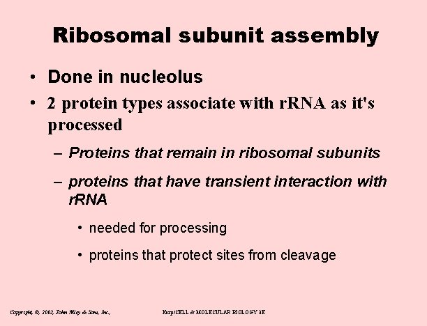 Ribosomal subunit assembly • Done in nucleolus • 2 protein types associate with r.